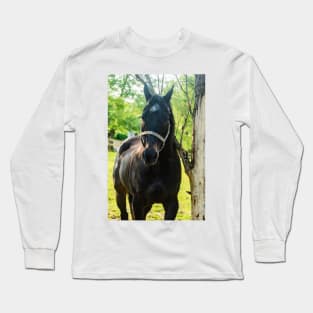 the handsome horse Long Sleeve T-Shirt